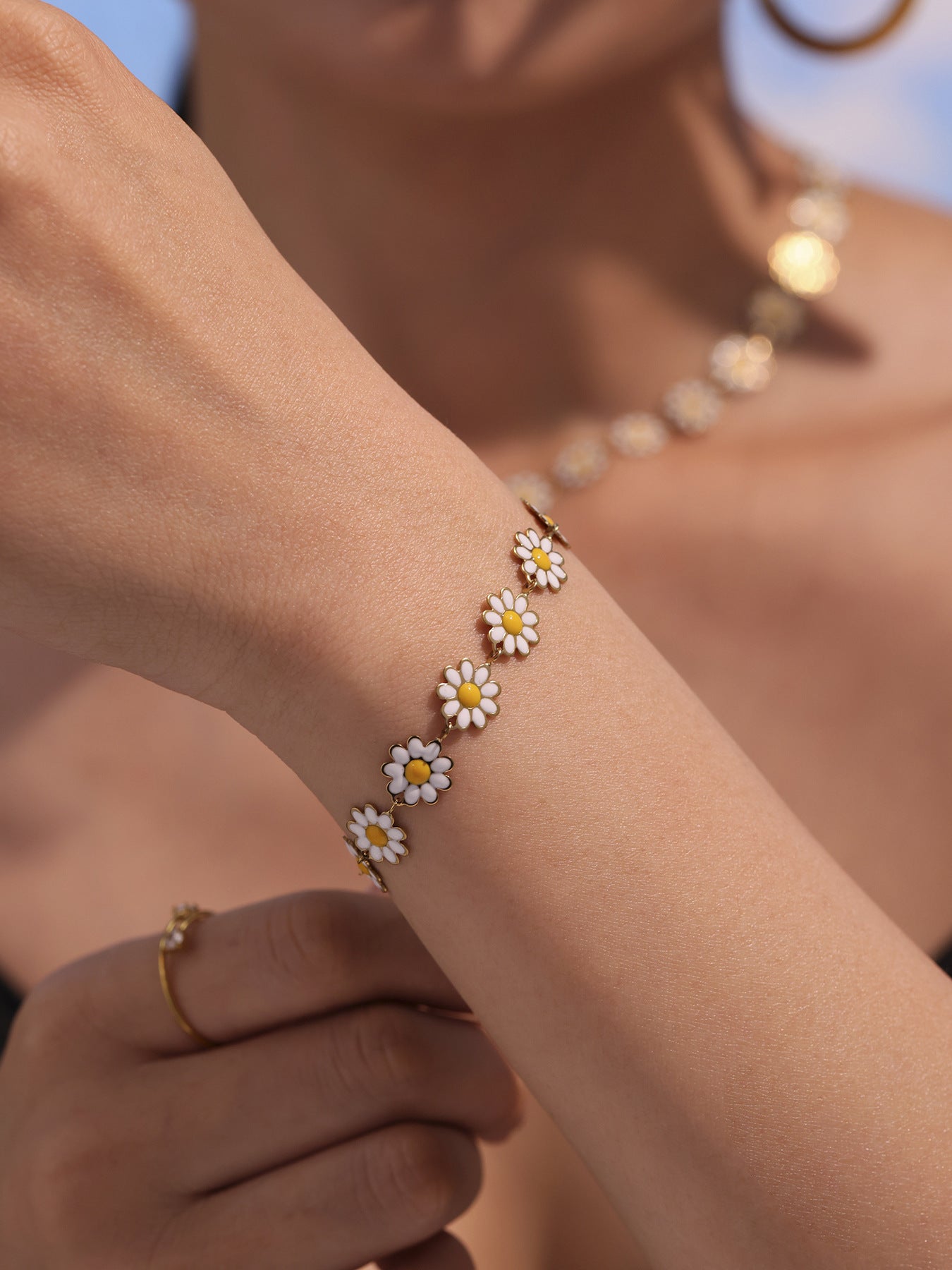 Conjunto de margaritas blancas FP