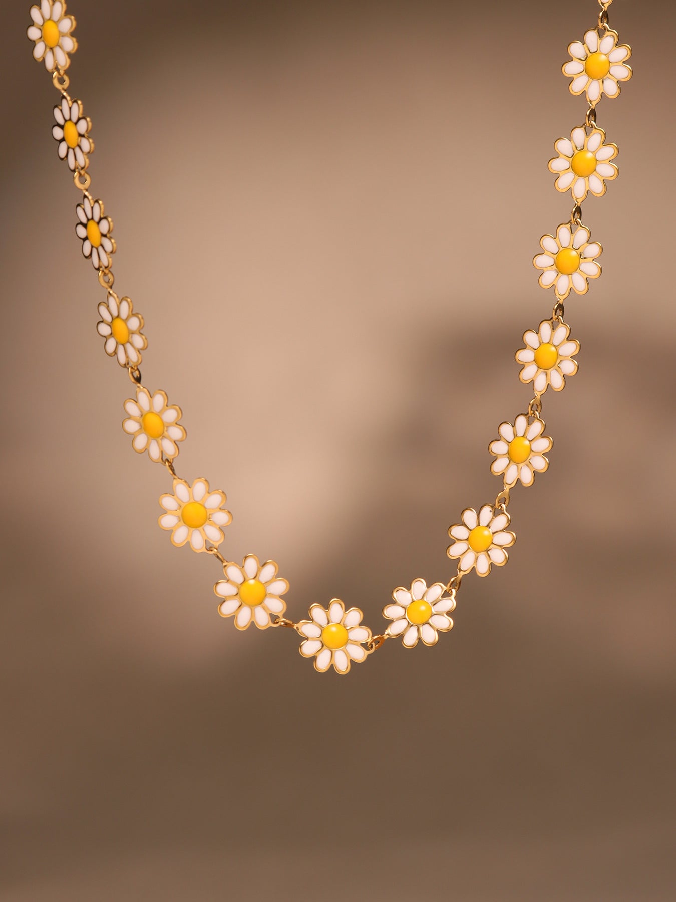 Conjunto de margaritas blancas FP